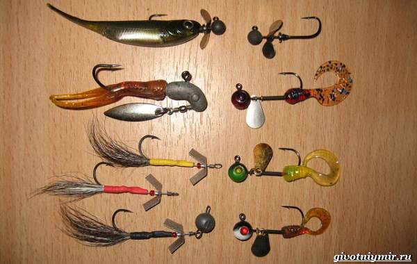 Ловля-жереха-различными-способами-8