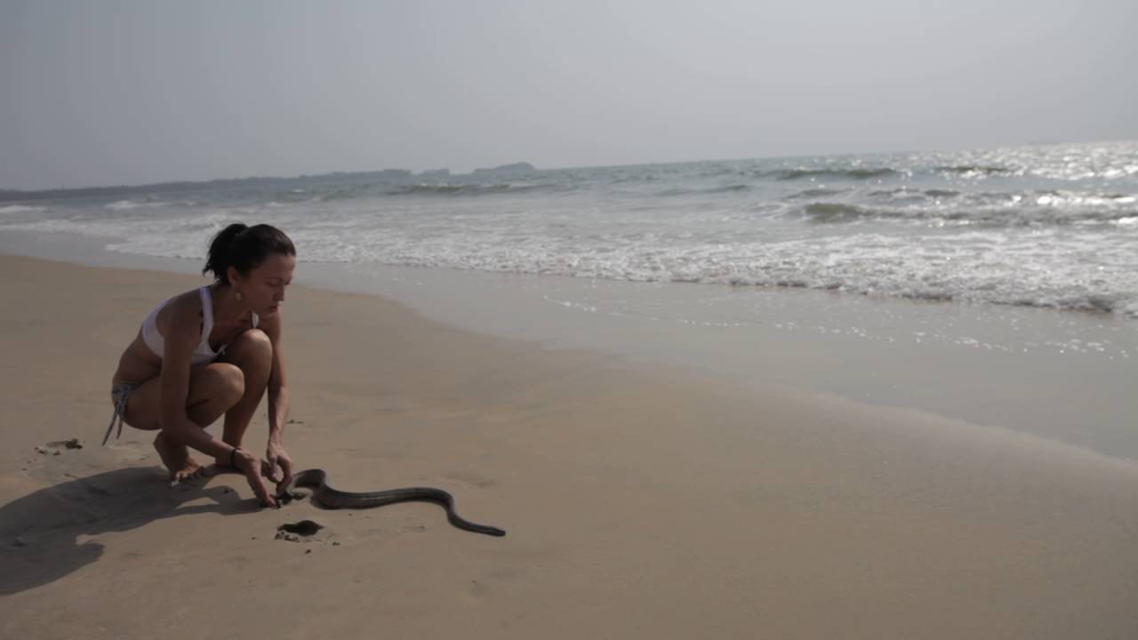 Девушка берет змею