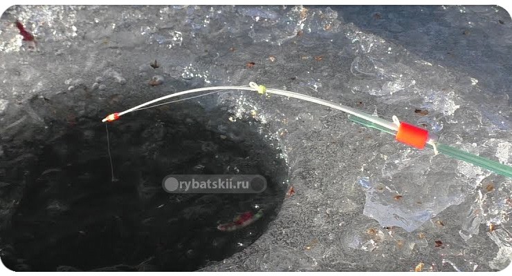 Ловля карася зимой: на мормышку и поплавочную снасть