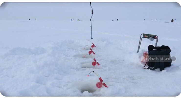 Ловля карася зимой: на мормышку и поплавочную снасть