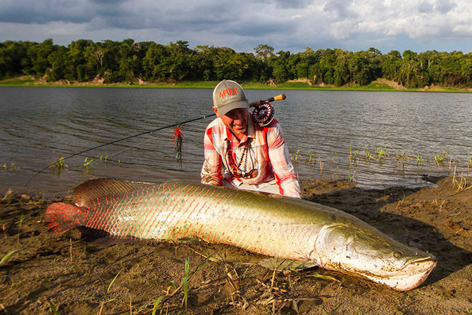 Арапайма - способы ловли