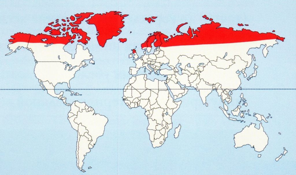 Место обитания зайца-беляка