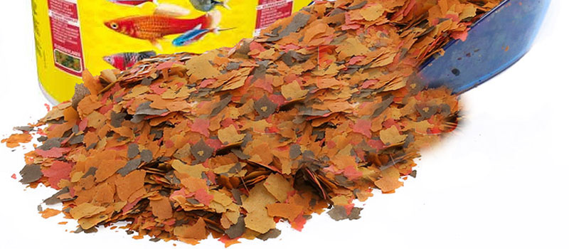 Аквариумные неоны