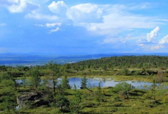 Климат тундры климат тундры - фото