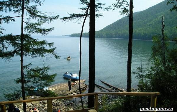 15-лучших-рыболовных-мест-в-Бурятии-Бесплатные-и-платные-13