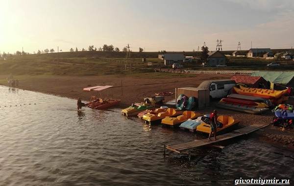 15-лучших-рыболовных-мест-в-Бурятии-Бесплатные-и-платные-14