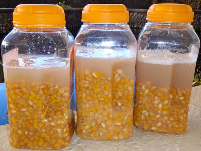 Ловля линя осенью: на поплавочную удочку, фидер и донку