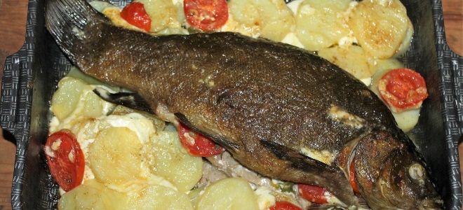 Лакедра в духовке с картофелем