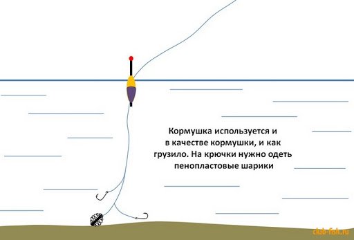 Рыбалка на карася - как и на что ловить карася весной, летом и осенью