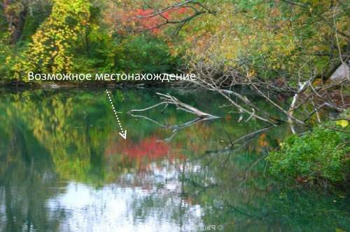 Рыбалка на карася - как и на что ловить карася весной, летом и осенью