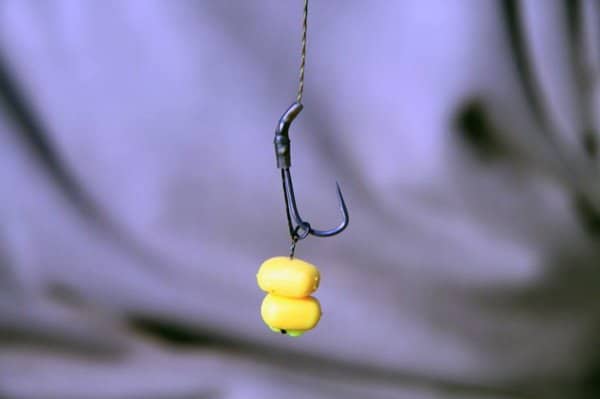 Рыбалка на карася - как и на что ловить карася весной, летом и осенью