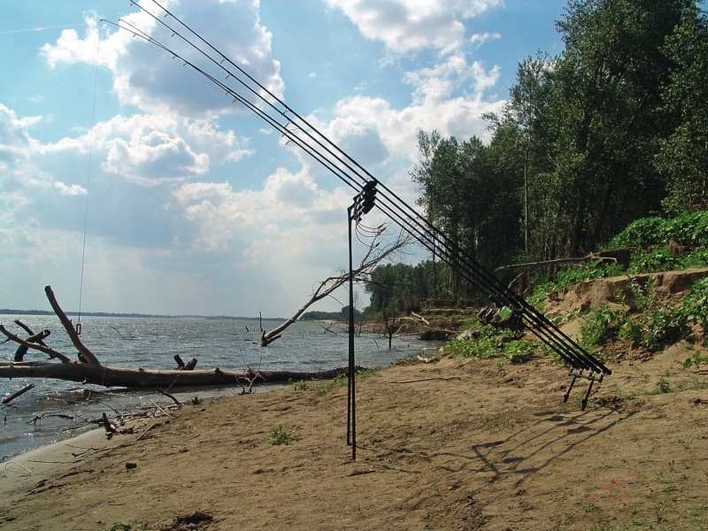 Рыбалка на карася - как и на что ловить карася весной, летом и осенью