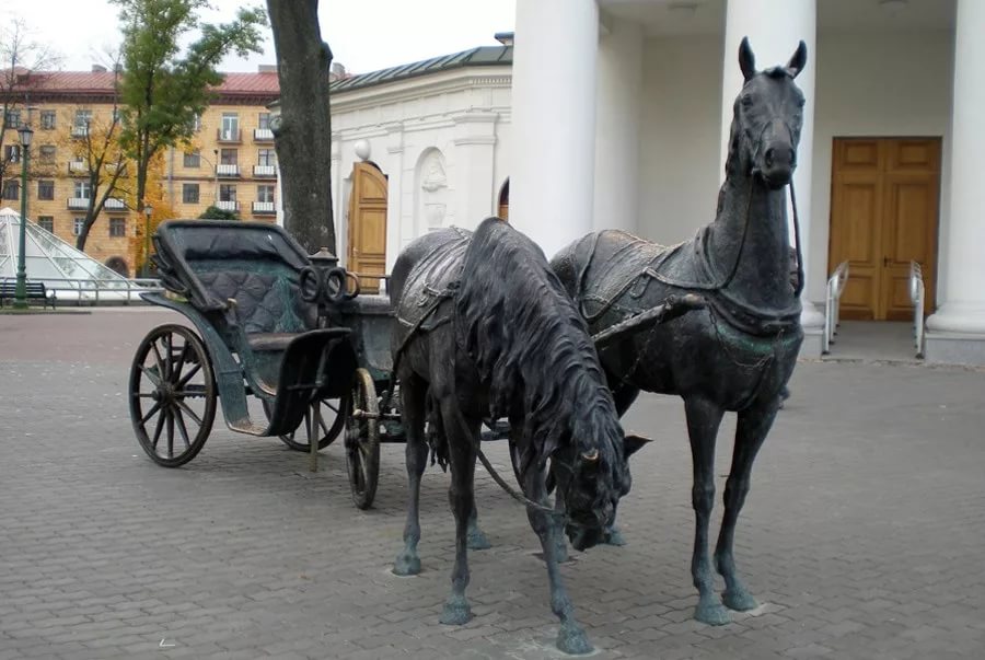 Гнедые лошади: особенности масти, разновидности и уход