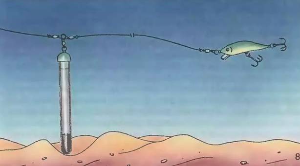 Личинка ручейника для рыбалки: где найти и как добыть