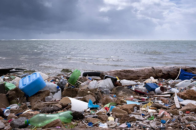 Скопление твердых отходов