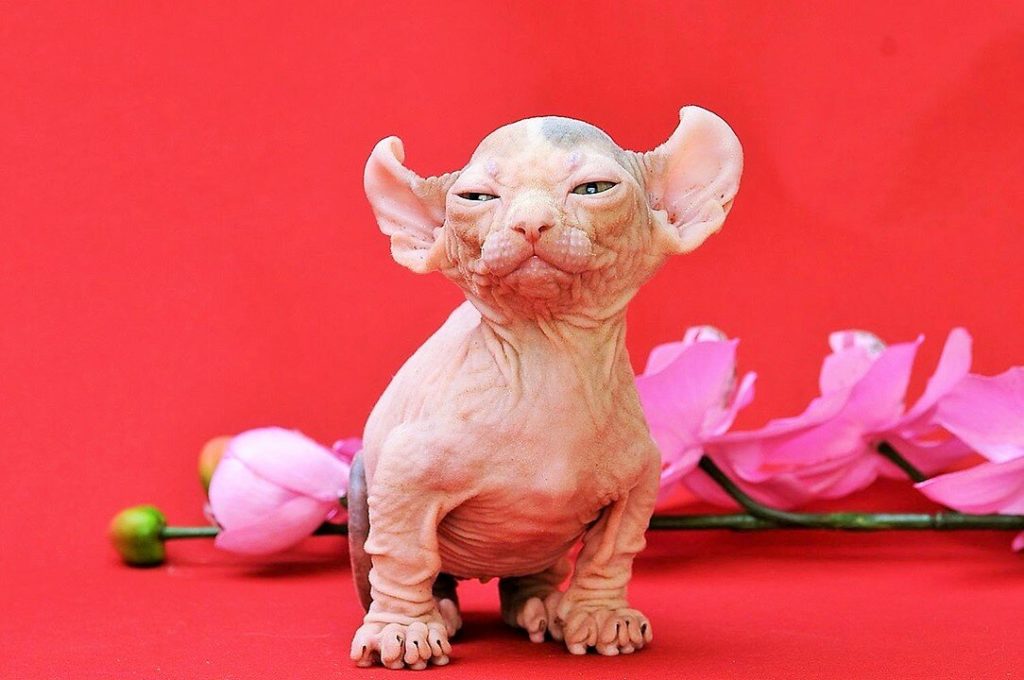 Резиденция