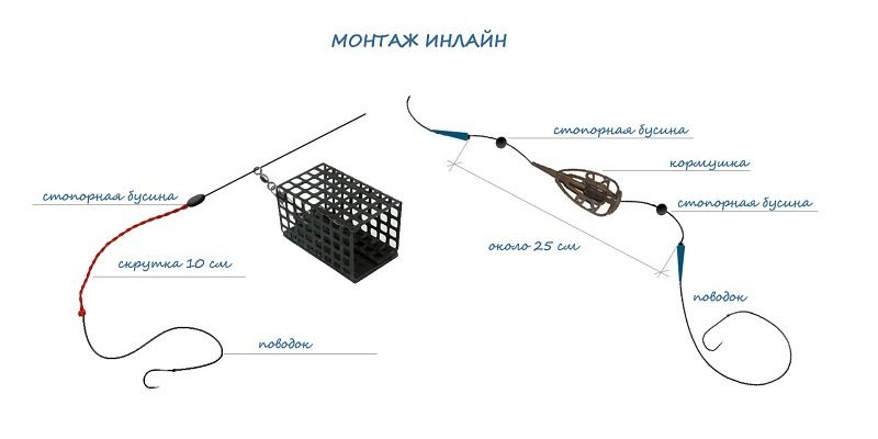 Ловля линя осенью: на поплавочную удочку, фидер и донку