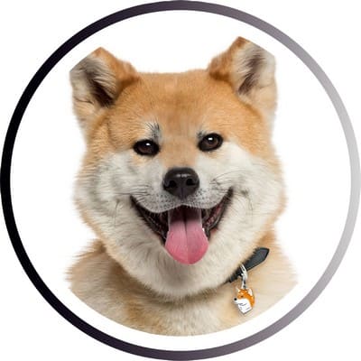 Большие породы собак - названия