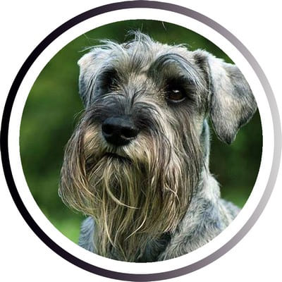 Большие породы собак - названия