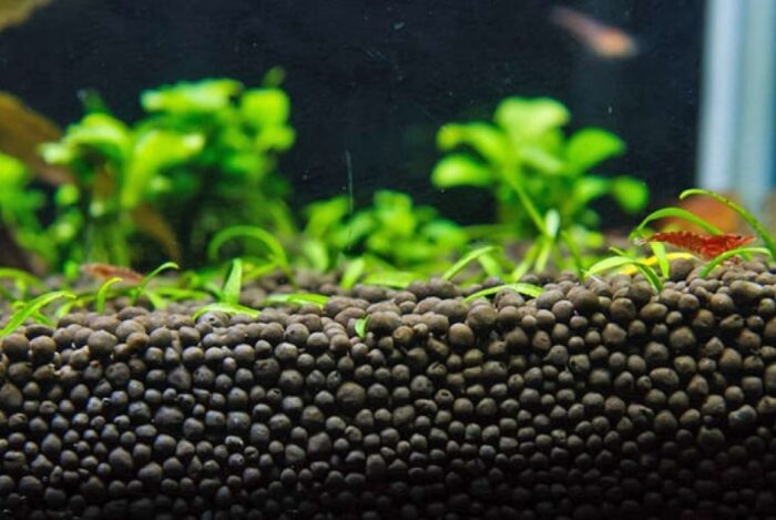 Требования к грунту