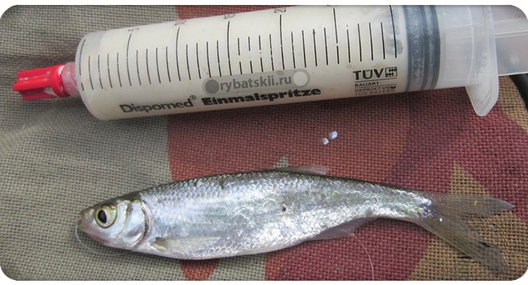 Манка для ловли уклейки