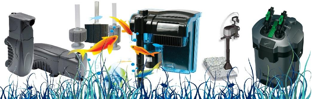 Рыба попугай совместимость с другими рыбками