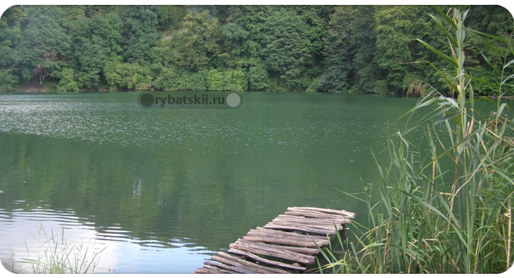 Хорошее место для рыбалки