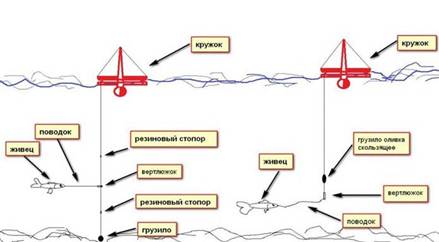 Ловля рыбы в сентябре: рыбалка с берега и лодки, календарь клева