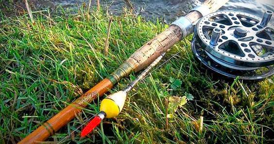 Ловля линя осенью: на поплавочную удочку, фидер и донку