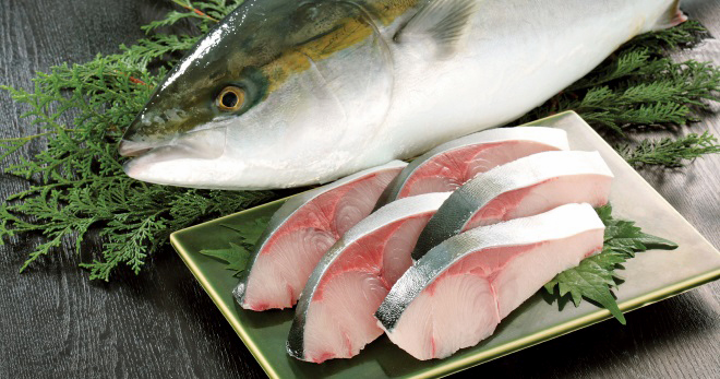 Мясо желтохвостой лакдры