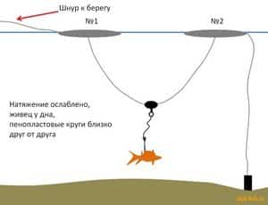 Как насаживать живца на крючок, двойку, тройник — фото и советы