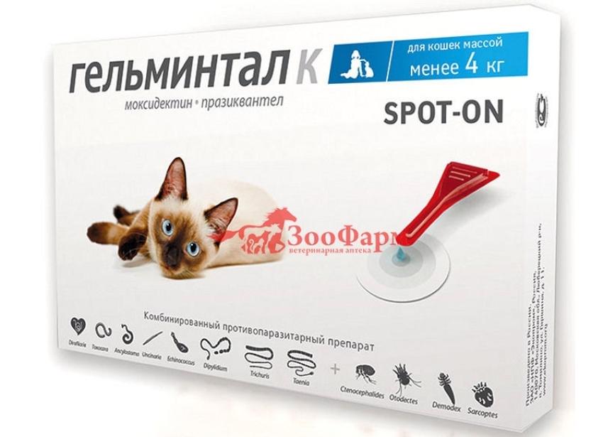 Гельминт картинка