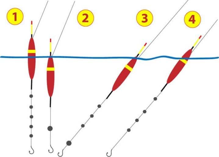 Ловля рыбы в сентябре: рыбалка с берега и лодки, календарь клева