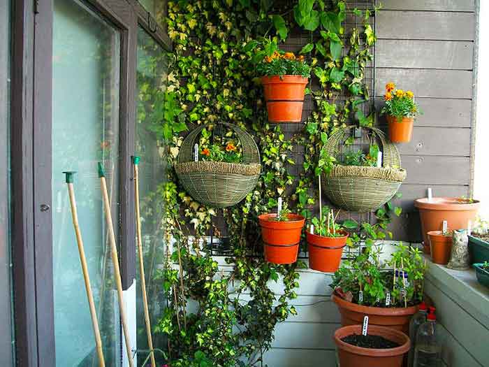 горшки на стене