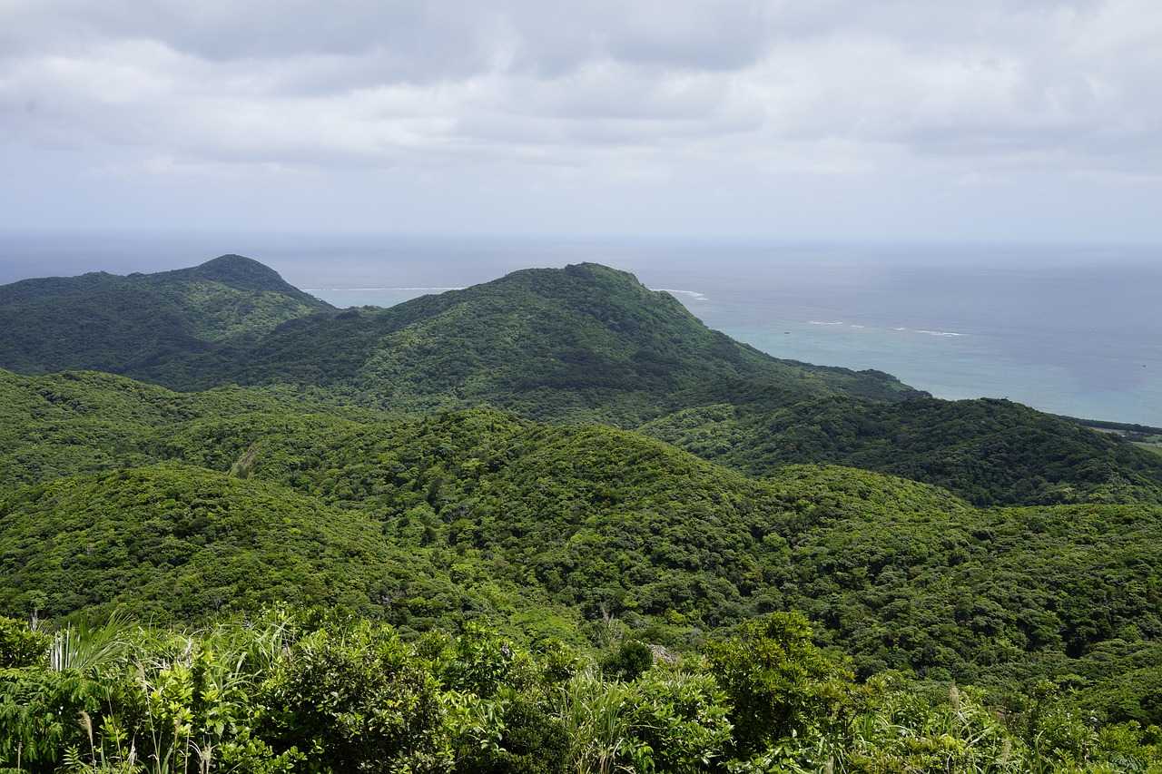 Япония: природа, императоры, достопримечательности, население и географическое положение страны