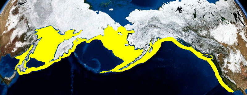 Ареал тихоокеанского палтуса