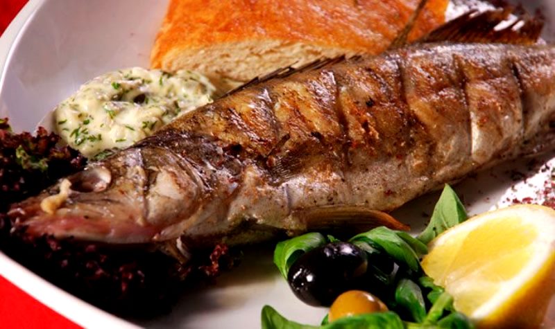 Берш и судак отличия на фото