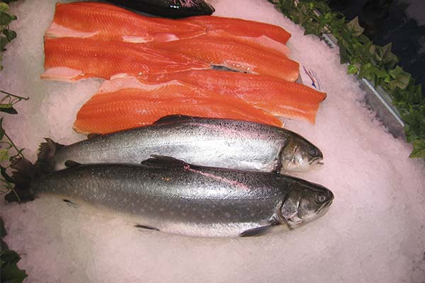 Как солить голец