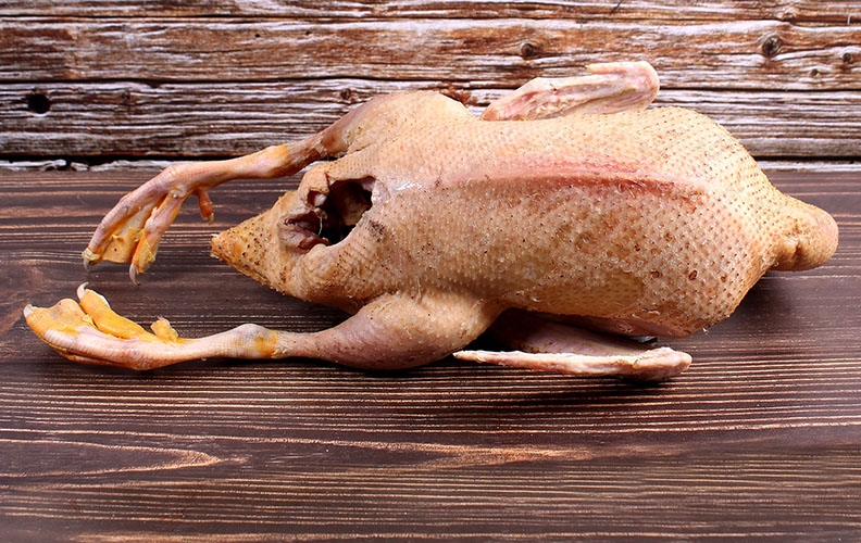 Утиная тушка