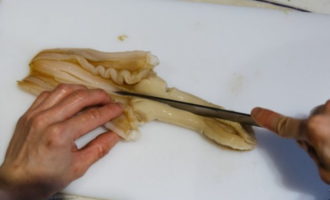 Моллюск гидак