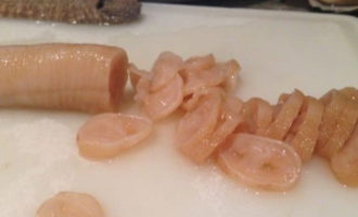 Моллюск гидак