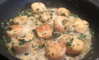 Моллюск гидак