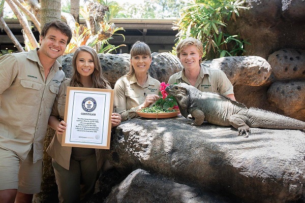 Игуана Рено