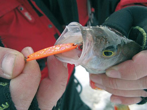 Самые уловистые зимние блесны на судака - покупные и самодельные