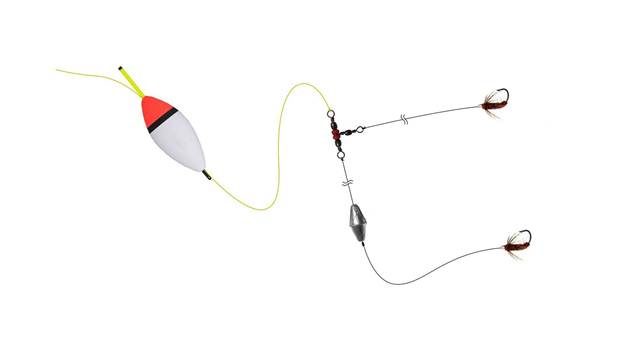 Форель — фото и описание, где обитает, как ловить и готовить