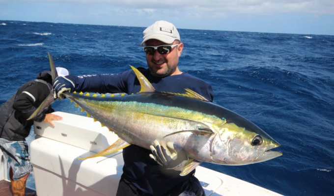 Самый дорогой тунец