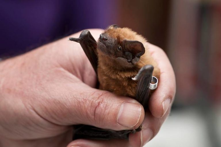 Огромная вечеринка вечером Огромная вечеринка вечером