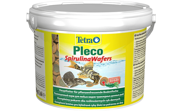 Анциструсовый сом – кормление