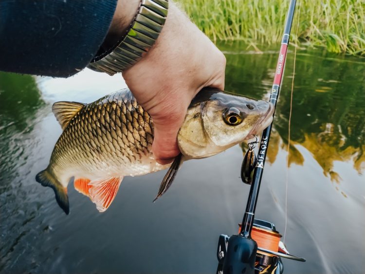 Тонкости рыбалки