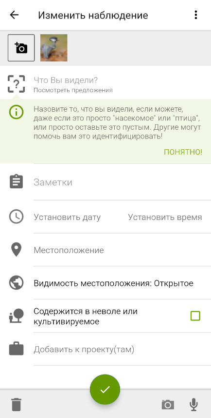 Определить птицу по фото онлайн
